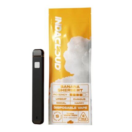 IndaCloud THCa 1G Disposable Vape Pen
